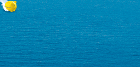 La Saga Corsica Ferries